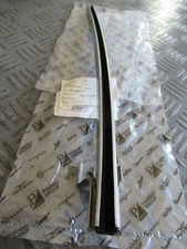 D6740487Z01 GUIDA VETRO PORTA