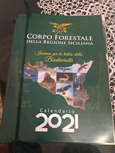 Calendario corpo forestale - calendario,