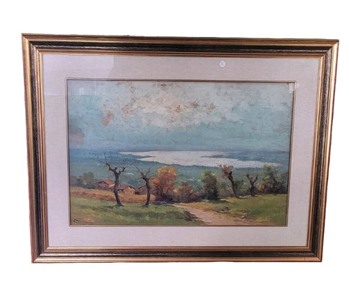 Quadro olio tela - olio, su