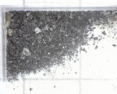 05895 argento acantite - 05895, mm