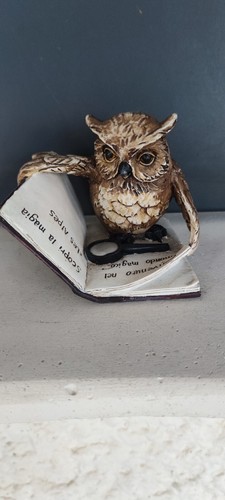 Gufo con libro - les, idea