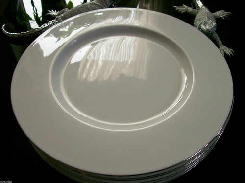 Rosenthal brillance premium - rosenthal,