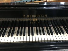 Pianoforte a coda Carl Bechstein Anno 1891 (Berlino, Germania) Grand Piano