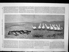 Antico vecchio gioco stampa