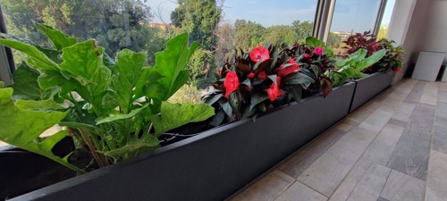 Fioriera giardino balcone - o,