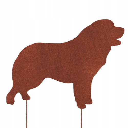 Cane montagna dei pirenei - cane, da