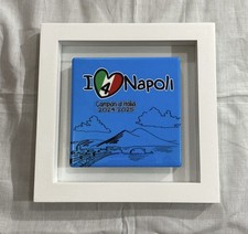 NAPOLI CAMPIONE D’ITALIA 4