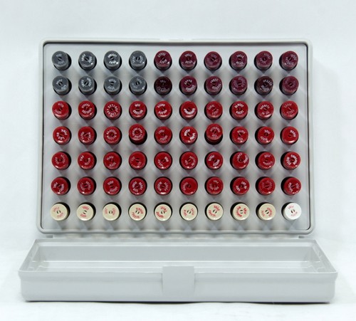 Avon mini campioni di - mini,