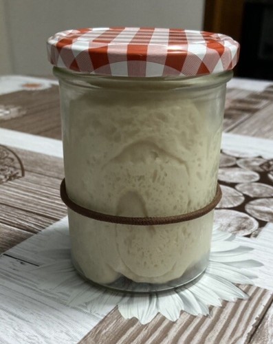 Lievito pasta madre - lievito,