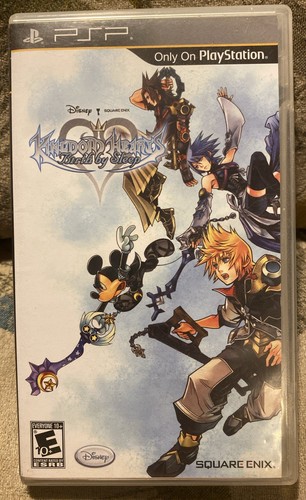 Kingdom hearts birth sleep - kingdom, by