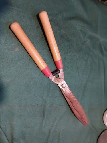 Forbice tagliasiepi manuale - forbice,