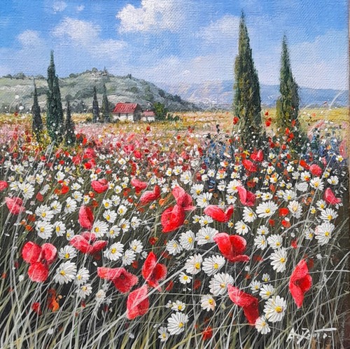 Damato campo di papaveri - "campo,