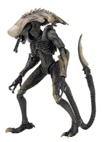 Alien predator chrysalis - predator,