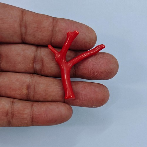 Ramo corallo rosso - ramo,