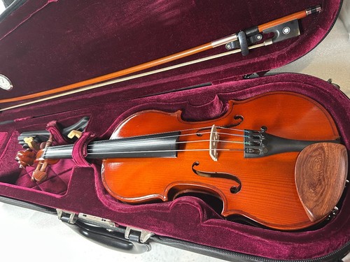 Completo violino primavera - completo, 90