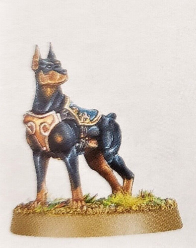 Canid dog doberman - dog,
