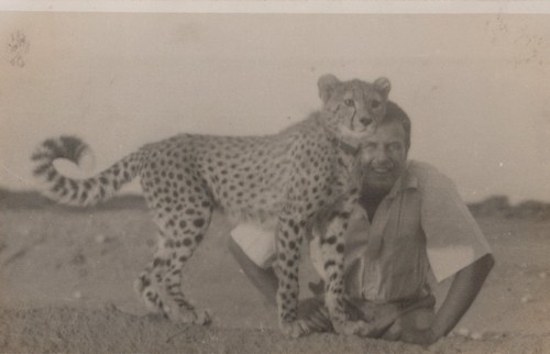 British somaliland raf 8 - somaliland,