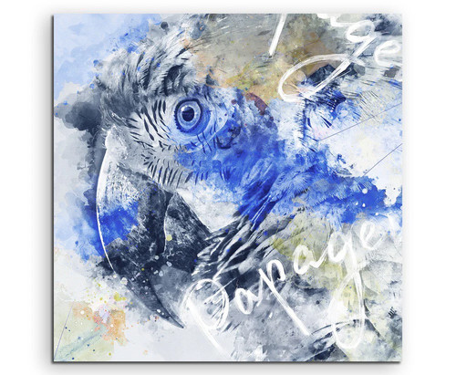 Testa pappagallo 60x90 cm - testa,