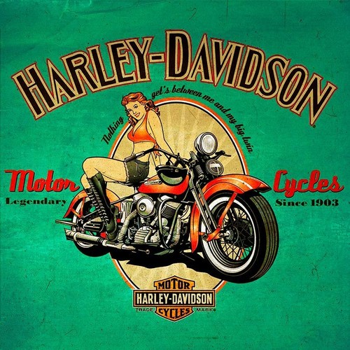 Insegna pubblicitaria harley - pubblicitaria,