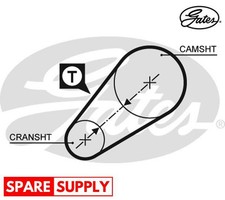 Cinghia Distribuzione per FIAT