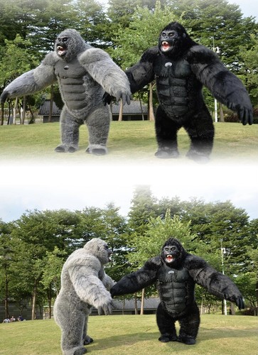 Mascotte gonfiabile gorilla - mascotte,