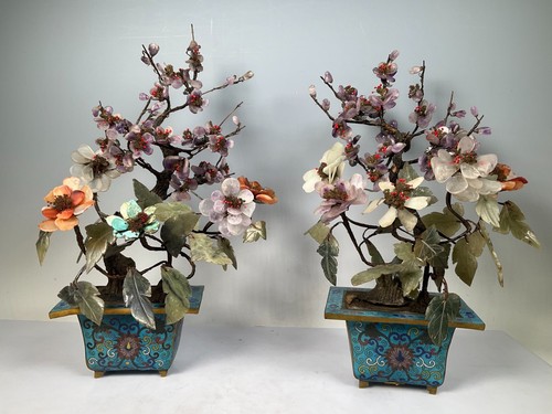 Coppia bonsai albero - fiori, di
