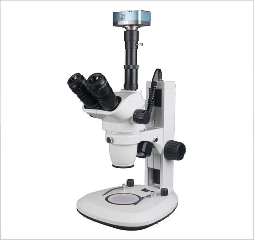 Microscopio digitale stereo