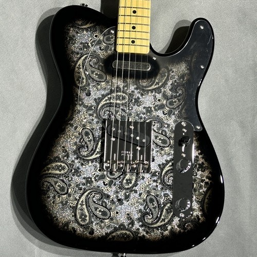 Fender telecaster nero paisley - nero,