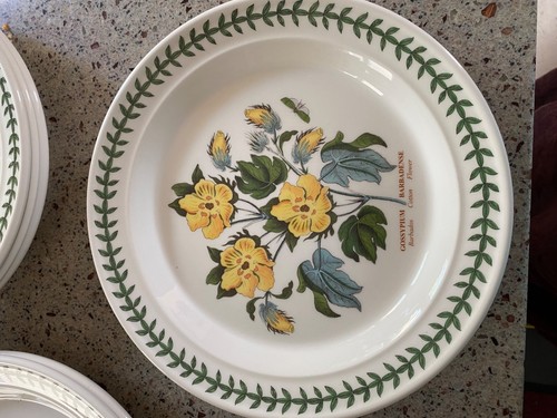 Portmeirion piatto pranzo - piatto,
