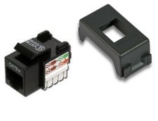 Presa dati RJ45 compatibile