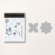 Set di stampi da taglio per