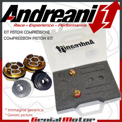 Andreani kit pistoni pompanti - andreani,