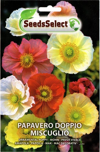 Semi seeds papavero doppio - papavero,