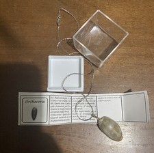 Collana di vera conchiglia 