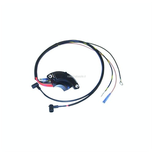 Centralina elettrica evinrude - elettrica,