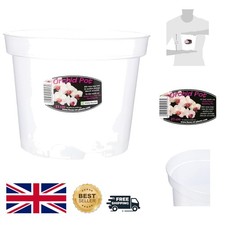 Vaso per orchidee trasparente