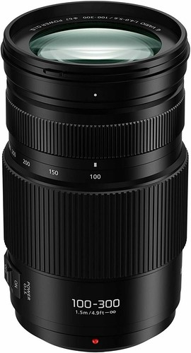 Panasonic lumix 100 300mm - g, 100-300mm