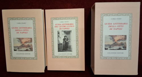 Guida letteraria citta di - citta',