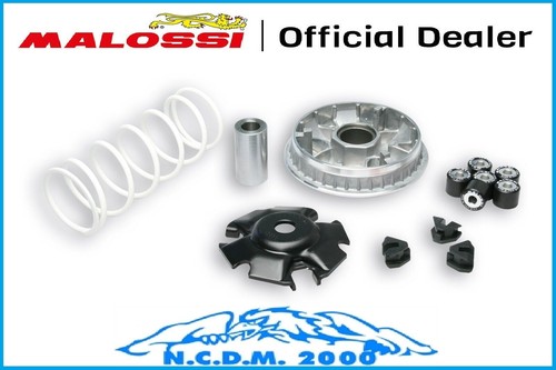 Variatore malossi multivar - variatore,