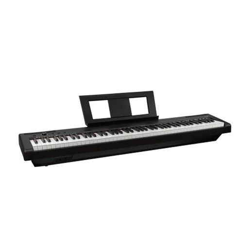 Echord ep88 black pianoforte - ep88,