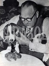 Foto vintage Cani, 1953, Cani incontrano la piccola lepre, Stampa 21 x 15 cm