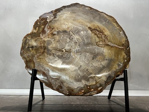 Splendida fetta di legno - splendida,