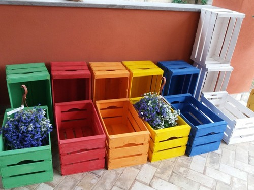 Set cassette frutta - set, nuove