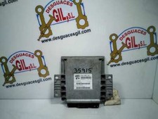 IAW48P10 centralina motore per