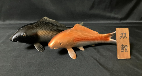 Coppia carpa koi giapponese
