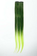 Larghezza Extension 2 Clips Ciocca Extension Capelli Lisci Ombreggiato 45cm Grün