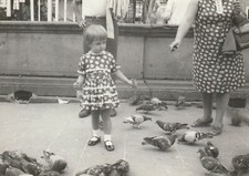 B1 -  Foto Photo Fotografia Anni 70 - Bambina con piccioni