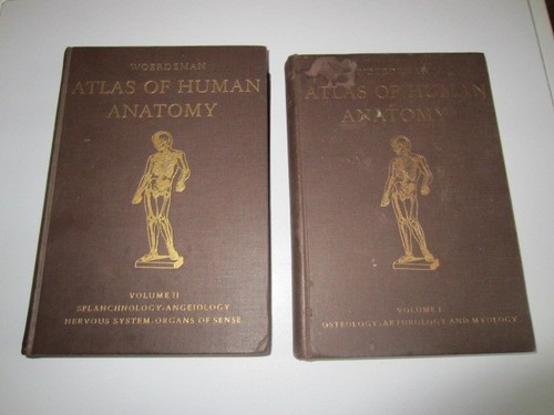 Anatomia atlas human - anatomia, ,atlas