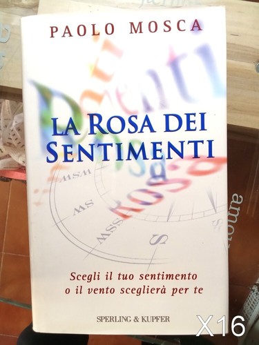 Rosa dei sentimenti - rosa, di