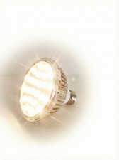 Lampadina PAR30 LED E27 20